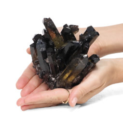 0.63kg Smoky Quartz Crystal Cluster DK269 | Himalayan Salt Factory
