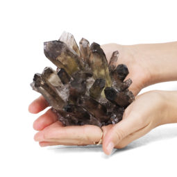 0.66kg Smoky Quartz Crystal Cluster DK270 | Himalayan Salt Factory