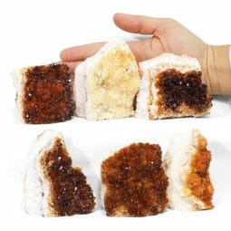 1.96kg Citrine Mini Cluster Specimen Set 6 Pieces J1790 5 1.96kg Citrine Mini Cluster Specimen Set 6 Pieces J1790 | Himalayan Salt Factory