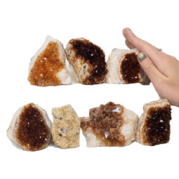 Citrine Mini Cluster Specimen Set N1550 | Himalayan Salt Factory