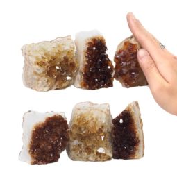 Citrine Mini Cluster Specimen Set N1566 | Himalayan Salt Factory