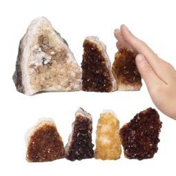 Citrine Mini Cluster Specimen Set N1583 | Himalayan Salt Factory