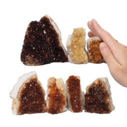 1.84kg Citrine Mini Cluster Specimen Set 7 Pieces N1586 5 Citrine Mini Cluster Specimen Set N1586 | Himalayan Salt Factory