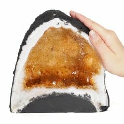 Natural Citrine Geode - A Grade DS1702 | Himalayan Salt Factory