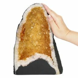 Natural Citrine Geode - A Grade DS1704 | Himalayan Salt Factory