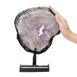 3.65kg Natural Brazil Amethyst Geode Slice DK445 | Himalayan Salt Factory