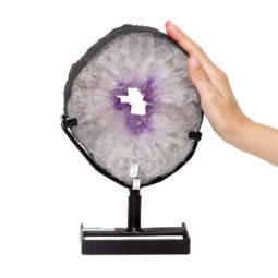 3.20kg Natural Brazil Amethyst Geode Slice DK461 | Himalayan Salt Factory