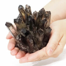 Smoky Quartz Crystal Cluster DS1711 | Himalayan Salt Factory