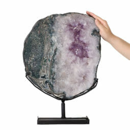 10.20kg Natural Brazil Amethyst Geode Slice DK527 | Himalayan Salt Factory