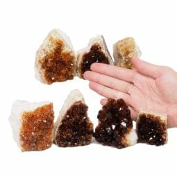 1.85kg Citrine Mini Cluster Specimen Set 7 Pieces N1647 5 Citrine Mini Cluster Specimen Set N1647 | Himalayan Salt Factory