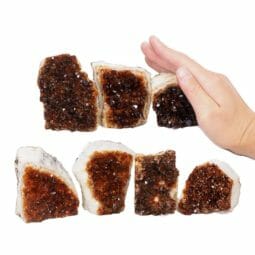 1.80kg Citrine Mini Cluster Specimen Set 7 Pieces N1650 5 Citrine Mini Cluster Specimen Set N1650 | Himalayan Salt Factory