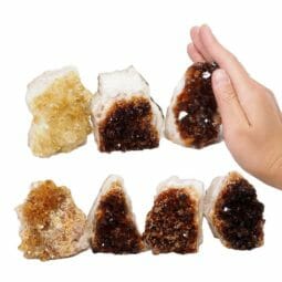 1.92kg Citrine Mini Cluster Specimen Set 7 Pieces N1651 5 Citrine Mini Cluster Specimen Set N1651 | Himalayan Salt Factory