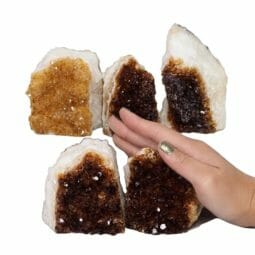 2.24kg Citrine Mini Cluster Specimen Set 5 Pieces N1660 5 Citrine Mini Cluster Specimen Set N1660 | Himalayan Salt Factory