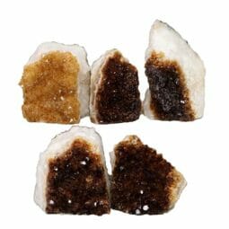 Citrine Mini Cluster Specimen Set N1660 | Himalayan Salt Factory