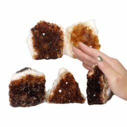 Citrine Mini Cluster Specimen Set N1665 | Himalayan Salt Factory