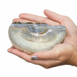 Mixed Colour Agate Crystal Polished Bowl set of 3 N1790 | Himalayan Salt Factory