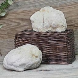Natural Calcite Geode Pair – 2 Small Geodes Set N1666 | Himalayan Salt Factory