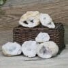 Natural Calcite Geode Pair – 3 Small Geodes Set N1676 | Himalayan Salt Factory