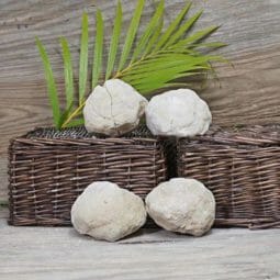 Natural Calcite Geode Pair – 4 Small Geodes Set N1680 | Himalayan Salt Factory