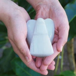 Nov Deal 10 Nov Deal | Himalayan Salt Factory