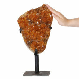 8.76kg Citrine Cluster on Metal Stand DK756 | Himalayan Salt Factory