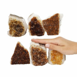 1.77kg Citrine Mini Cluster Specimen Set 6 Pieces J1955 5 1.77kg Citrine Mini Cluster Specimen Set 6 Pieces J1955 | Himalayan Salt Factory