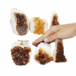 2.02kg Citrine Mini Cluster Specimen Set 6 Pieces J1962 5 2.02kg Citrine Mini Cluster Specimen Set 6 Pieces J1962 | Himalayan Salt Factory