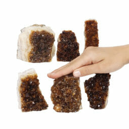 1.70kg Citrine Mini Cluster Specimen Set 6 Pieces J1964 5 1.70kg Citrine Mini Cluster Specimen Set 6 Pieces J1964 | Himalayan Salt Factory
