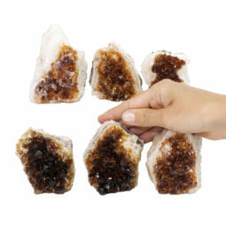 1.69kg Citrine Mini Cluster Specimen Set 6 Pieces J1965 5 1.69kg Citrine Mini Cluster Specimen Set 6 Pieces J1965 | Himalayan Salt Factory