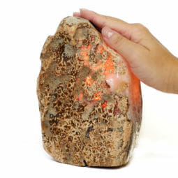 1.8kg Natural Brazilian River Agate Crystal Lamp S375 | Himalayan Salt Factory