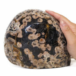 2.15kg Natural Brazilian River Agate Crystal Lamp S371 | Himalayan Salt Factory