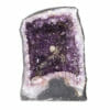 32.93kg Amethyst Geode DS1983 | Himalayan Salt Factory