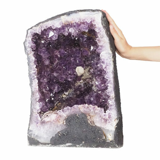 32.93kg Amethyst Geode DS1983 | Himalayan Salt Factory