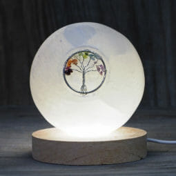 Selenite Sphere Tree of Life with LED Light Crystal Large Display Base Pack