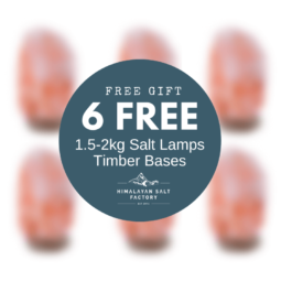 Free Gift WS 2022 | Himalayan Salt Factory