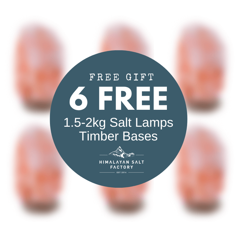 FREE BOX OF 6 |1.5-2kg Natural Shaped Himalayan Salt Lamps - Timber Base 2 Free Gift WS 2022 | Himalayan Salt Factory