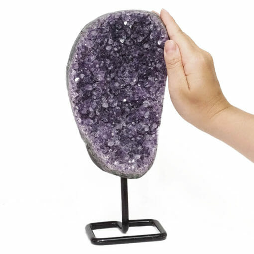Amethyst Druze Cluster on Metal Stand DB250 | Himalayan Salt Factory