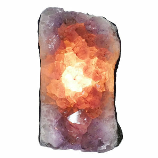 Natural Amethyst Crystal Lamp DB238 | Himalayan Salt Factory