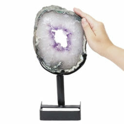 Natural Amethyst Ring Slice on Stand DB260 | Himalayan Salt Factory