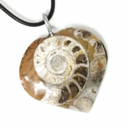 Ancient Fossil Ammonite Heart Pendant | Himalayan Salt Factory