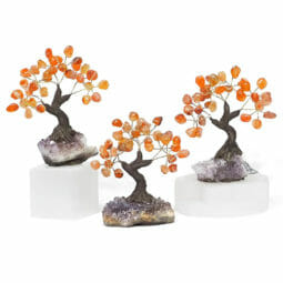 Carnelian Gemstone Bonsai Tree on Amethyst Cluster 14cm | Himalayan Salt Factory