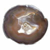 2.40kg Natural Agate Polished Slab Plate DB298 1 2.40kg Natural Agate Polished Slab Plate DB298 | Himalayan Salt Factory
