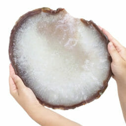 3.00kg Natural Agate Polished Slab Plate DB313 7 3.00kg Natural Agate Polished Slab Plate DB313 | Himalayan Salt Factory