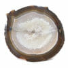 3.10kg Natural Agate Polished Slab Plate DB345 | Himalayan Salt Factory