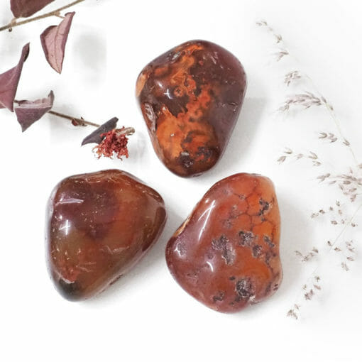 Natural Carnelian Tumbled Stone – 3 Pieces | Himalayan Salt Factory