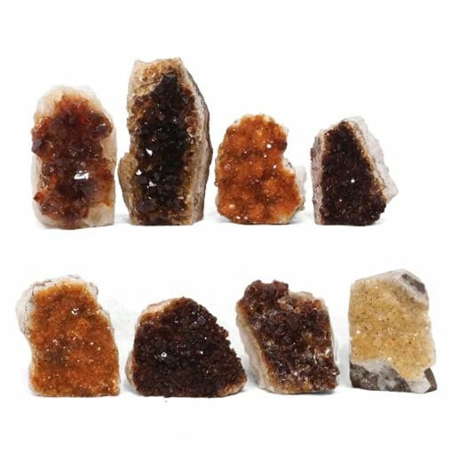 1.69kg Citrine Mini Cluster Specimen Set 8 Pieces L199 | Himalayan Salt Factory