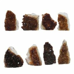 1.68kg Citrine Mini Cluster Specimen Set 8 Pieces L203 | Himalayan Salt