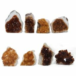 1.69kg Citrine Mini Cluster Specimen Set 8 Pieces L206 | Himalayan Salt Factory