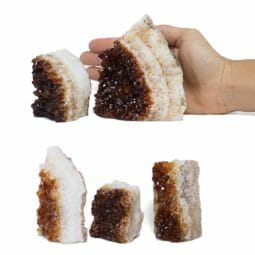 1.67kg Citrine Mini Cluster Specimen Set 5 Pieces DR353 5 1.67kg Citrine Mini Cluster Specimen Set 5 Pieces DR353 | Himalayan Salt Factory