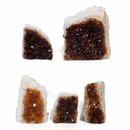 1.67kg Citrine Mini Cluster Specimen Set 5 Pieces DR353 | Himalayan Salt Factory